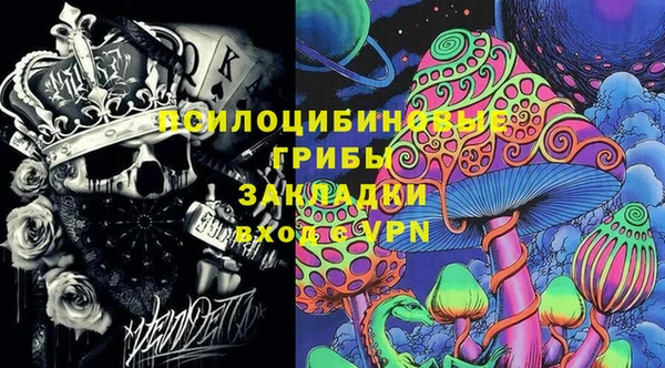 мет Арсеньев