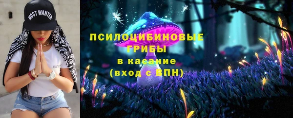 мет Арсеньев