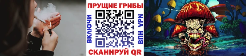 купить наркоту  Городец  Галлюциногенные грибы мухоморы 